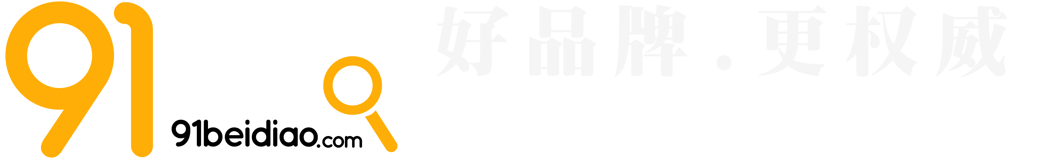 91背调